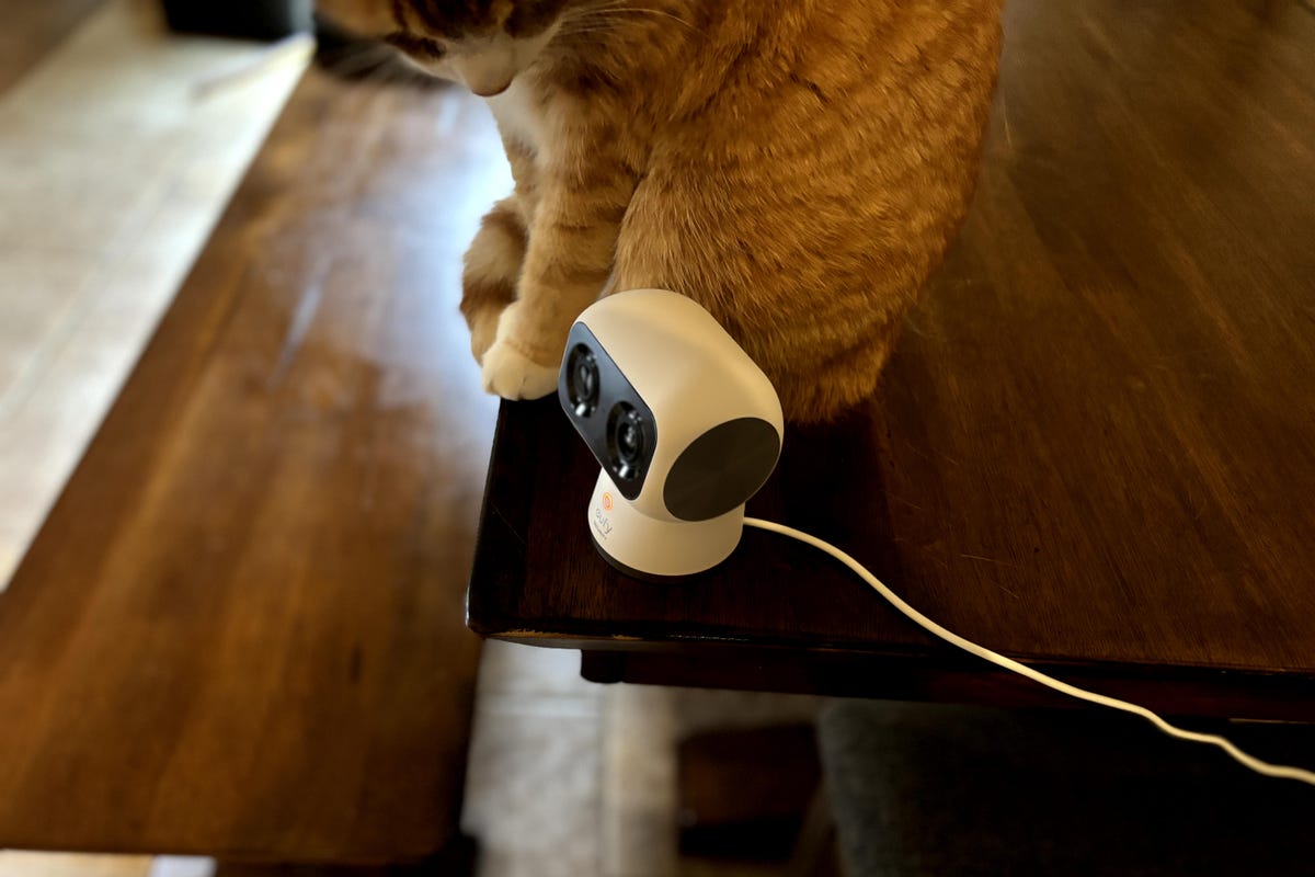 The Eufy S350 cam sits on a wood table with a curious cat.