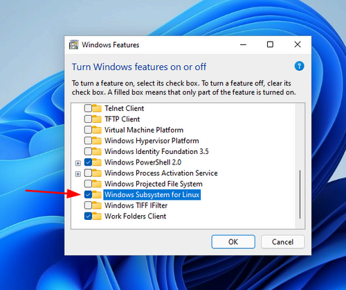 WSL feature being turned on in Windows 11.