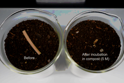 Image of two containers of dirt, one with a degraded piece of plastic in it.