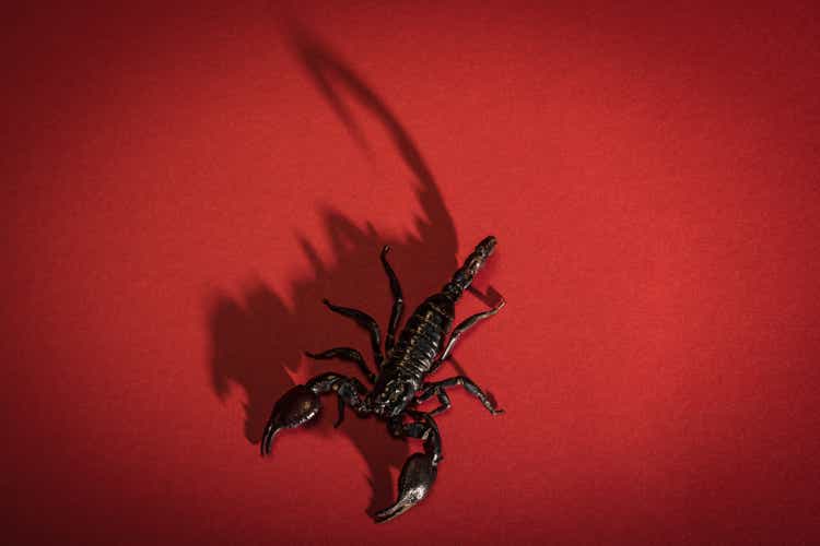 Black scorpion