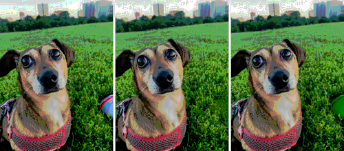 side by side images of a dog that have been edited using google photos magic eraser