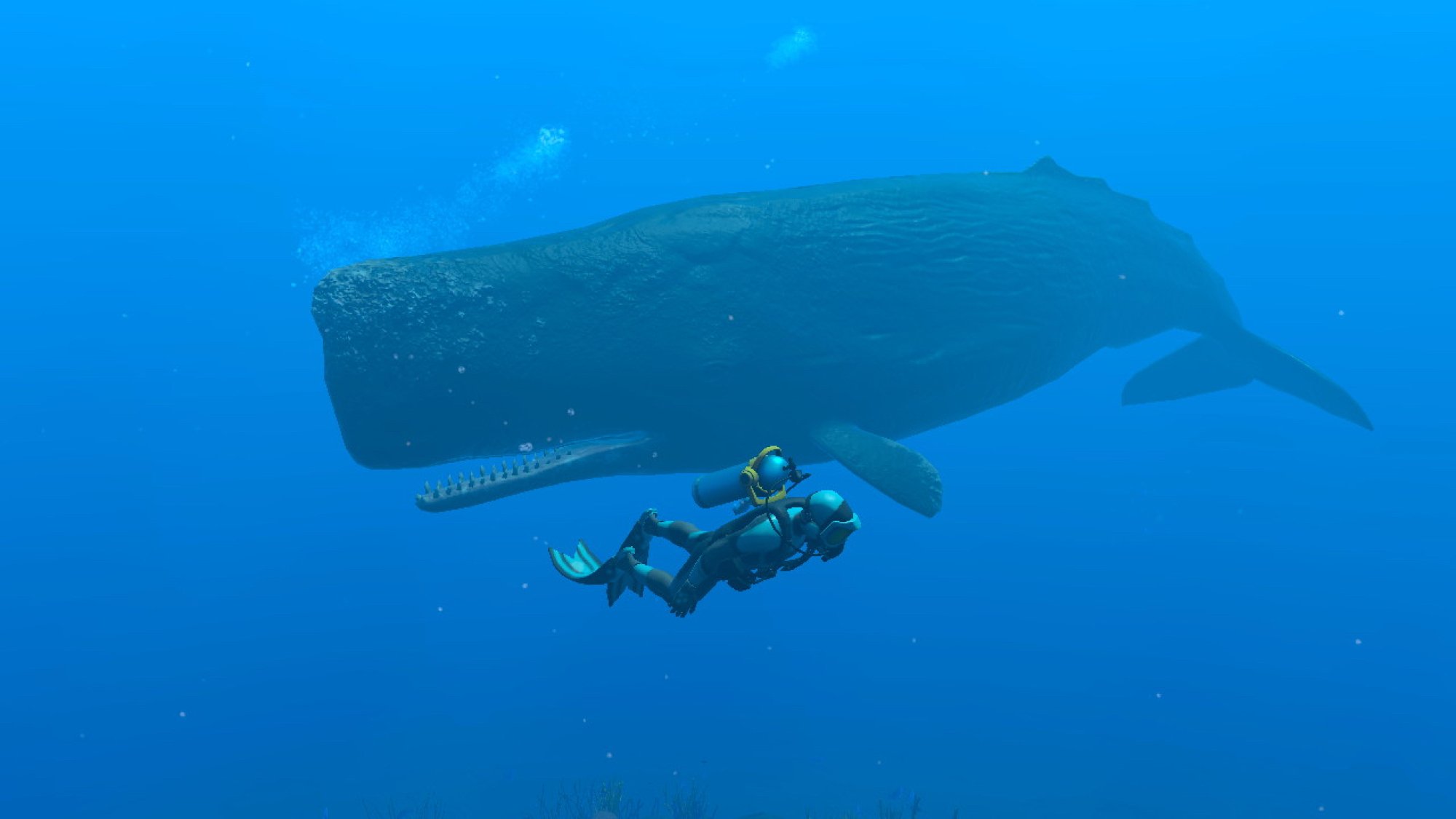 Player character swimming alongside sperm whale in Endless Ocean Luminous