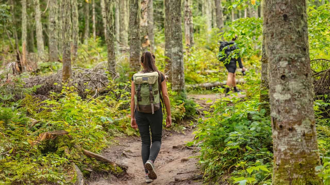 hiking in nature