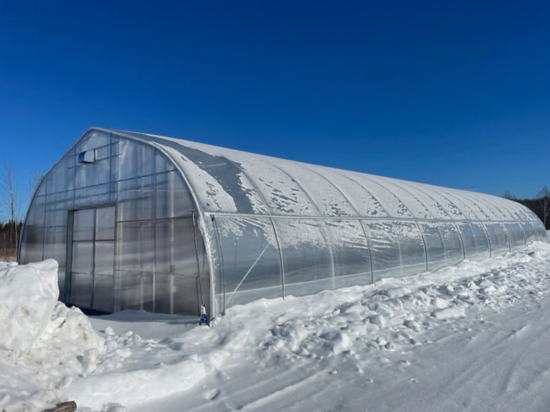 A greenhouse pictured covered in snow 