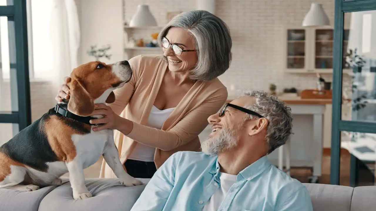 older-couple-with-dog