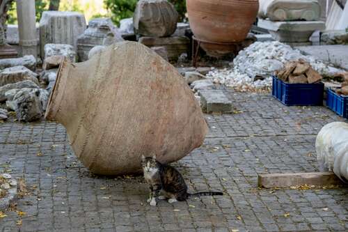 a cat sitting next to a large antique vase