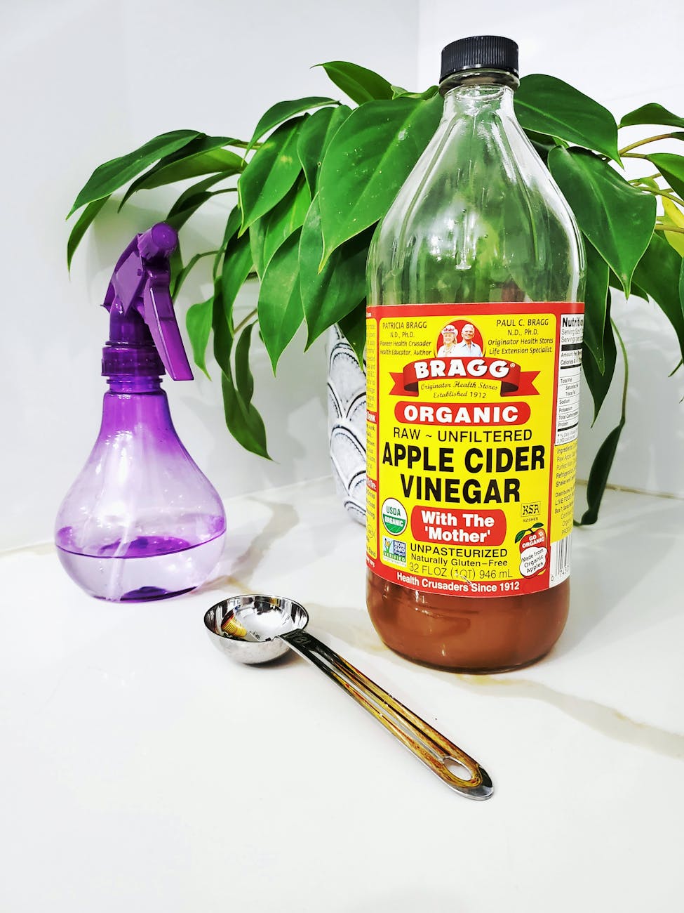 spray bottle beside indoor plant