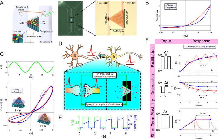 Scientific figures related to the iontronic memristor.