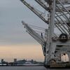 From longshoremen to charter boats, Baltimore's port closure means lost work