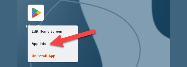 Long press the Play Store and tap "App Info."