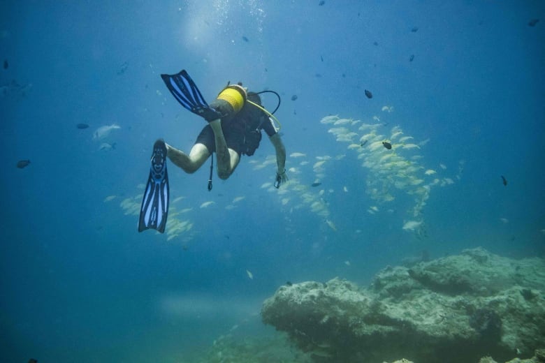 A tourist dives at Matemwe's reef in Zanzibar, on January 10, 2022, as a school of fish swim in front of him. 