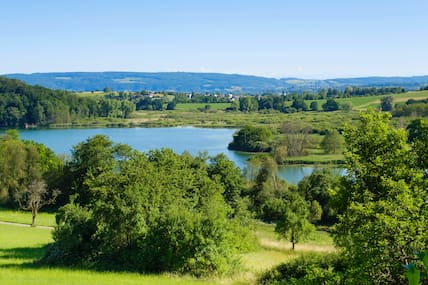 Weiter Blick auf den Mindelsee in Baden-Württemberg, umgeben von Wäldern und Wiesen.