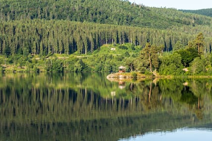 Blick auf den Schluchsee und den Schwarzwald.