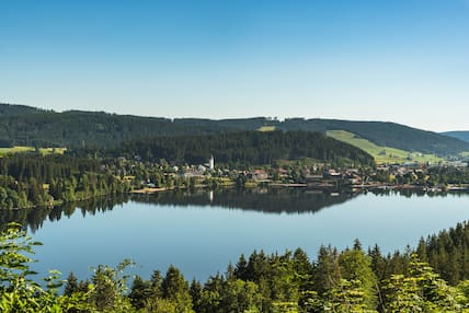 Blick auf den Titisee mitten im Schwarzwald .