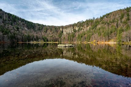 Wasserspiegelung am Feldsee im Naturpark Südschwarzwald.