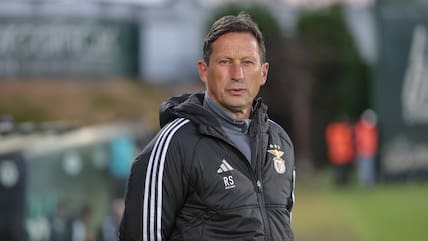 Roger Schmidt, Trainer von Benfica Lissabon