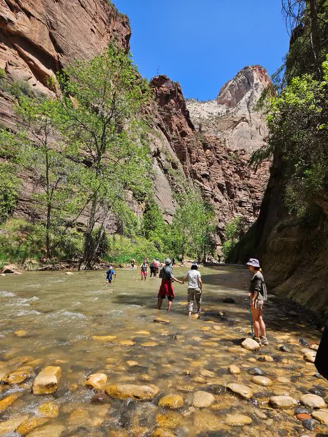 A group of people standing in a river Description automatically generated