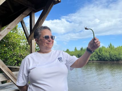 Patricia Lamellas hat mit ihrem Team bereits 109 Hektar Mangroven in der Bucht von Samaná gepflanzt.