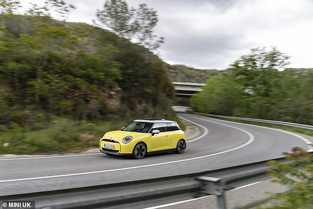 Ray said the car is a 'whizzy delight' on mountain roads and feels confident and planted