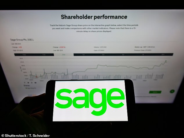 British gem: Sage, a British software company has seen its share price rise by more than 40 per cent over the past five years despite disappointing results last week