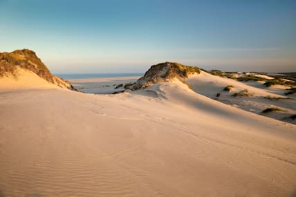 Insel Amrum: Dünen im Abendlicht mit Blick auf den Kniepsand und das Meer.