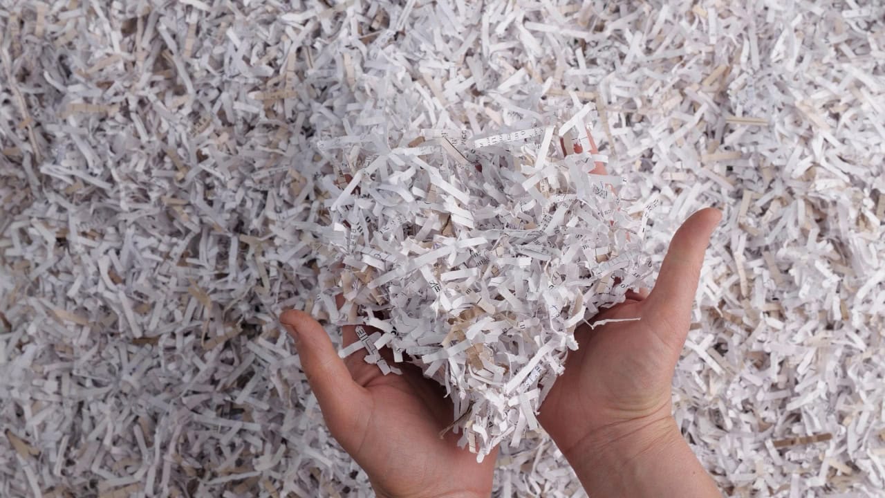 Shredded documents