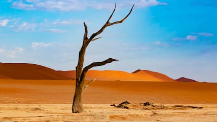 Namibia, Sossusvlei-Salzpfanne im Namib-Naukluft-Nationalpark.