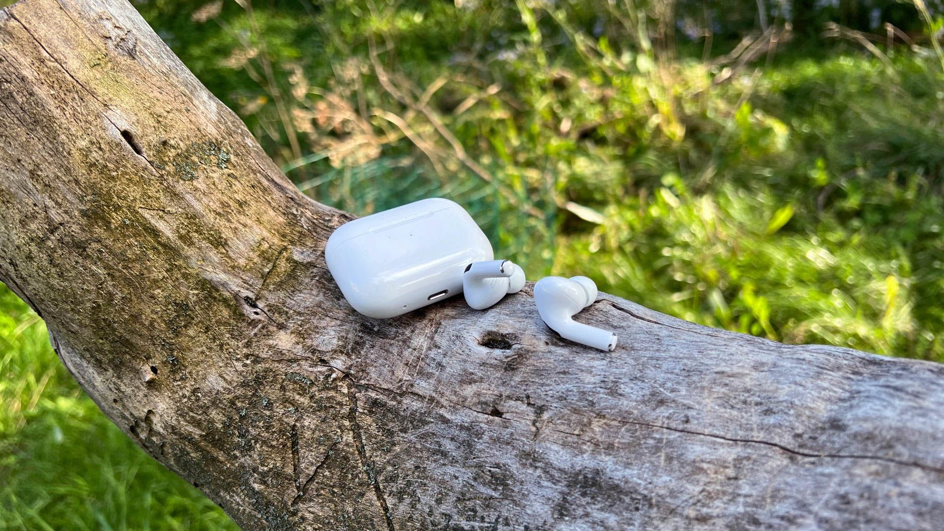 Apple AirPods Pro in tree out of case.