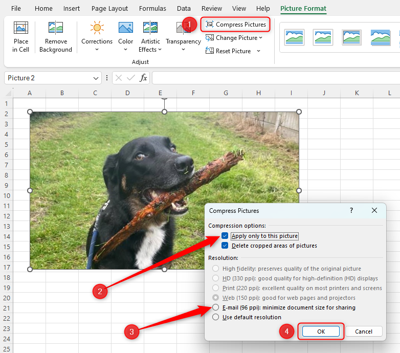 An Excel worksheet with an image inserted and the Compress Pictures dialog box open. In the dialog box, 'Apply Only To This Picture' is checked and the 'Email (96 ppi)' option is highlighted. Finally, the 'OK' button is selected.