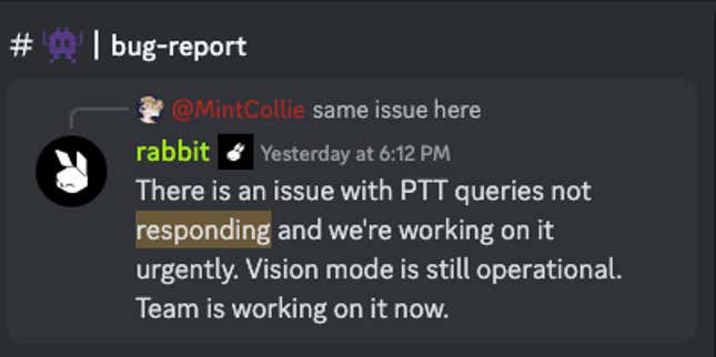 Screenshot from Rabbit’s “bug-report” channel.