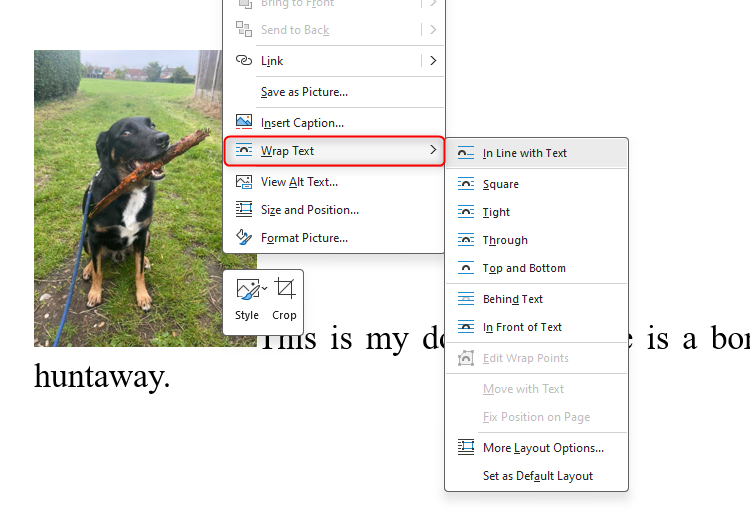 A Microsoft Word document containing an image. The image has been selected with a right-click, and the 'Wrap Text' option has been hovered over to reveal the different image-text positioning options.