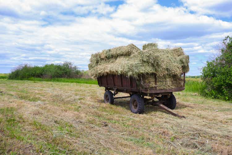 A cart with hay bales on a mown meadow. Haymaking in the village.