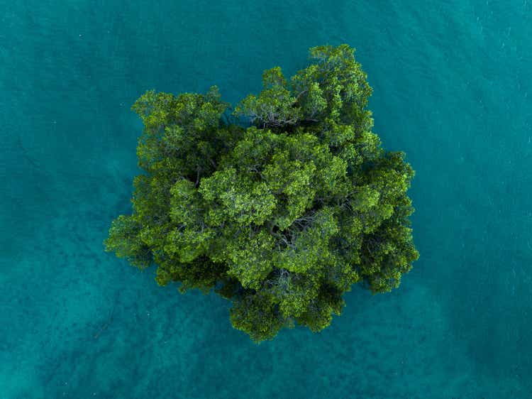 Drone image directly above a tree in the Indian Ocean, Bali, Indonesia