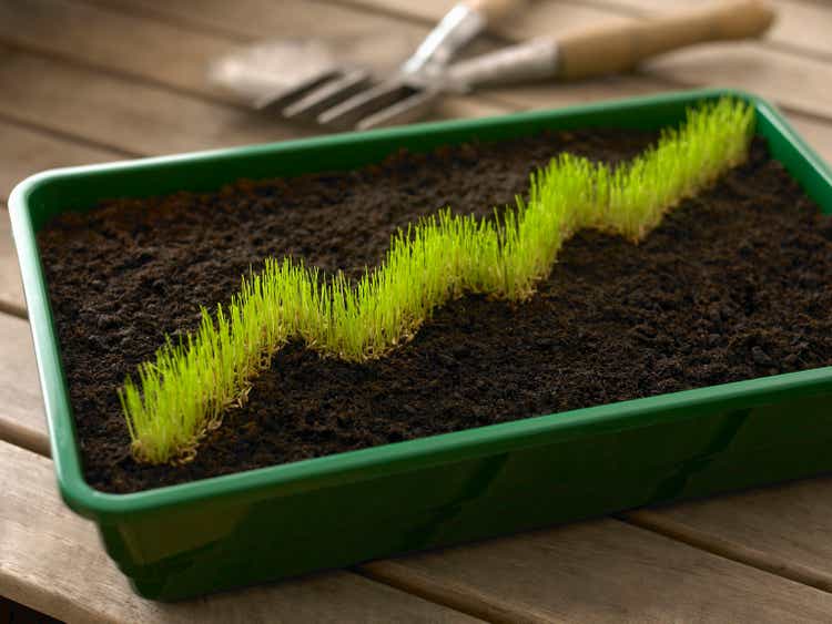 Grass in bin of dirt forming ascending graph