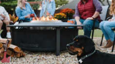 People gathered around a Solo Bonfire fire pit