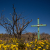 Is it easy for migrants to enter the U.S.? We went to the border to find out