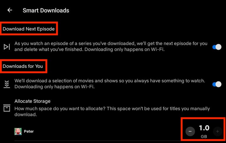 Netflix's Smart Downloads settings on Android