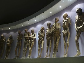 FILE - Mummies are displayed in the Mummy Museum in Guanajuato, Mexico, Saturday, Nov. 1, 2008. In Mexico, the federal archaeology agency accused the conservative government of Guanajuato state on Monday, May 27, 2024, of mistreating one of the country's famous mummified 19th century bodies.