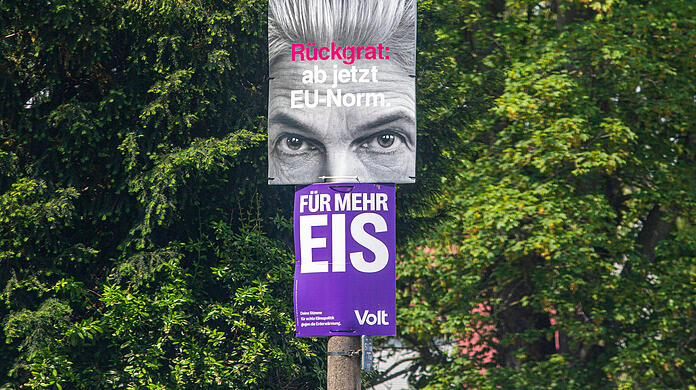 Wahlplakate zur Europawahl am 9. Juni 2024 sind in Köln  NRW  zu sehen. FDP Marie-Agnes Strack-Zimmermann Rückgrat ab jetzt EU-Norm. Volt Für mehr Eis. Wahlplakate zur Europawahl