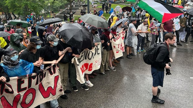 Student protestors stand holding signs