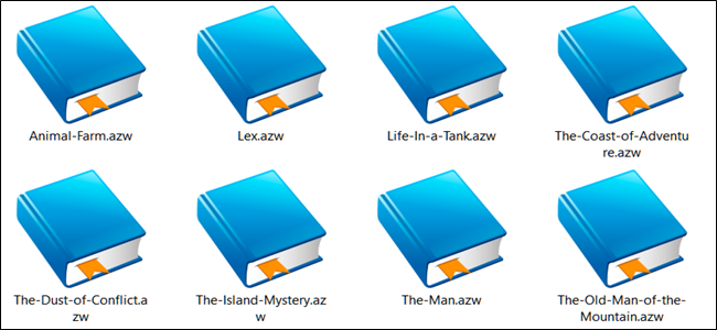 Kindle ebook files in the AZW format