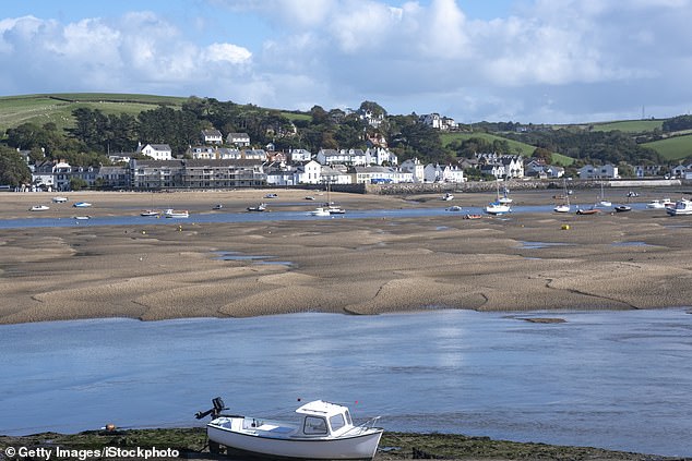 Some 180 of the pastel-coloured properties in Appledore, Devon have been turned into Airbnbs, equivalent to one holiday let for every ten households