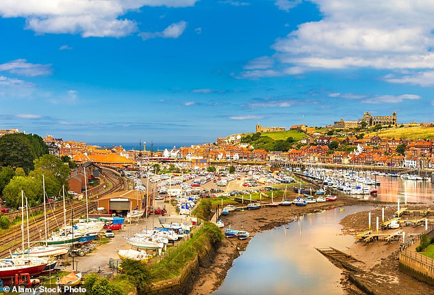 Locals in Whitby, North Yorkshire, took to the polls in 2022 to limit the sales of second homes, with more than 90 per cent of residents voting to bring in restrictions