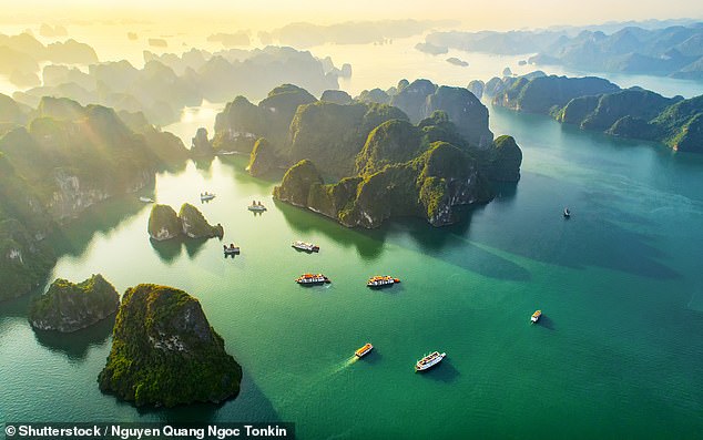 Travels: Alice made a full recovery and after six weeks of rest at home she was able to fly out and continue her travels. Pictured: Halong Bay in Vietnam (file picture)