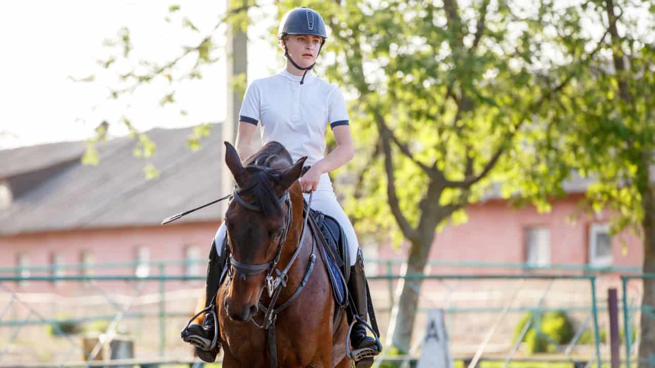 Young rider woman riding bay horse