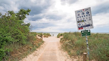 Auf zwei Schildern am Strandaufgang 24 Höhe Jugendherberge in Warnemünde stehen Hinweise auf ein Verbot, die Düne zu betreten.