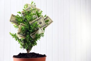 Money Doesn't Grow on Trees