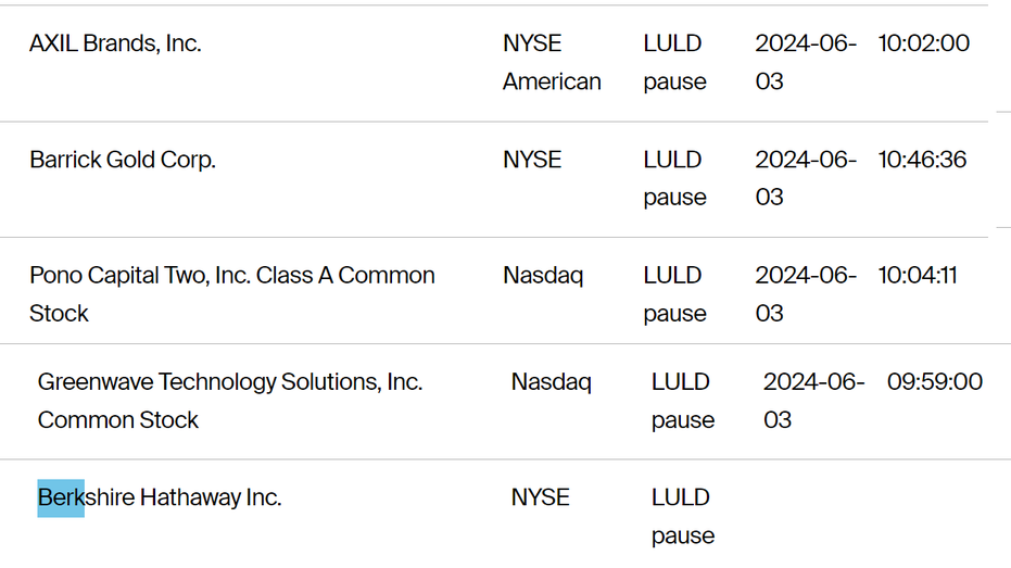 NYSE Trading Halt, glitch