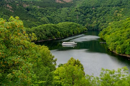 Der ursprüngliche Rursee verbirgt sich in den urigen Wäldern des Nationalparks Eifel.