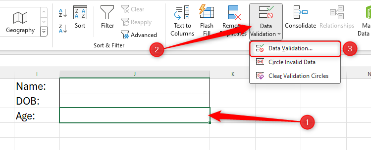 A cell in Excel is selected and the Data Validation option is highlighted.